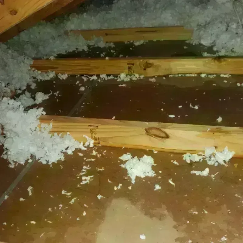 Attic Water Damage in Winterville, NC