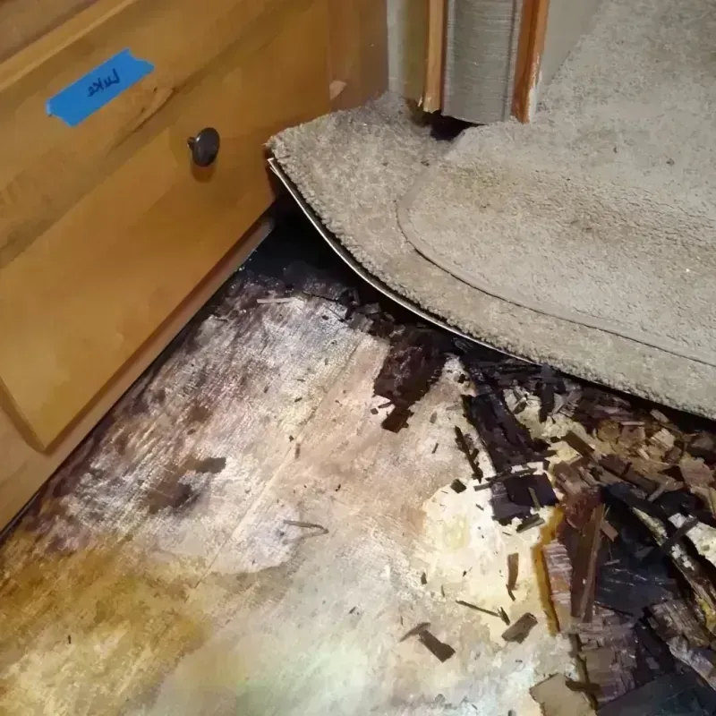 Best Wood Floor Water Damage Service in Winterville, NC